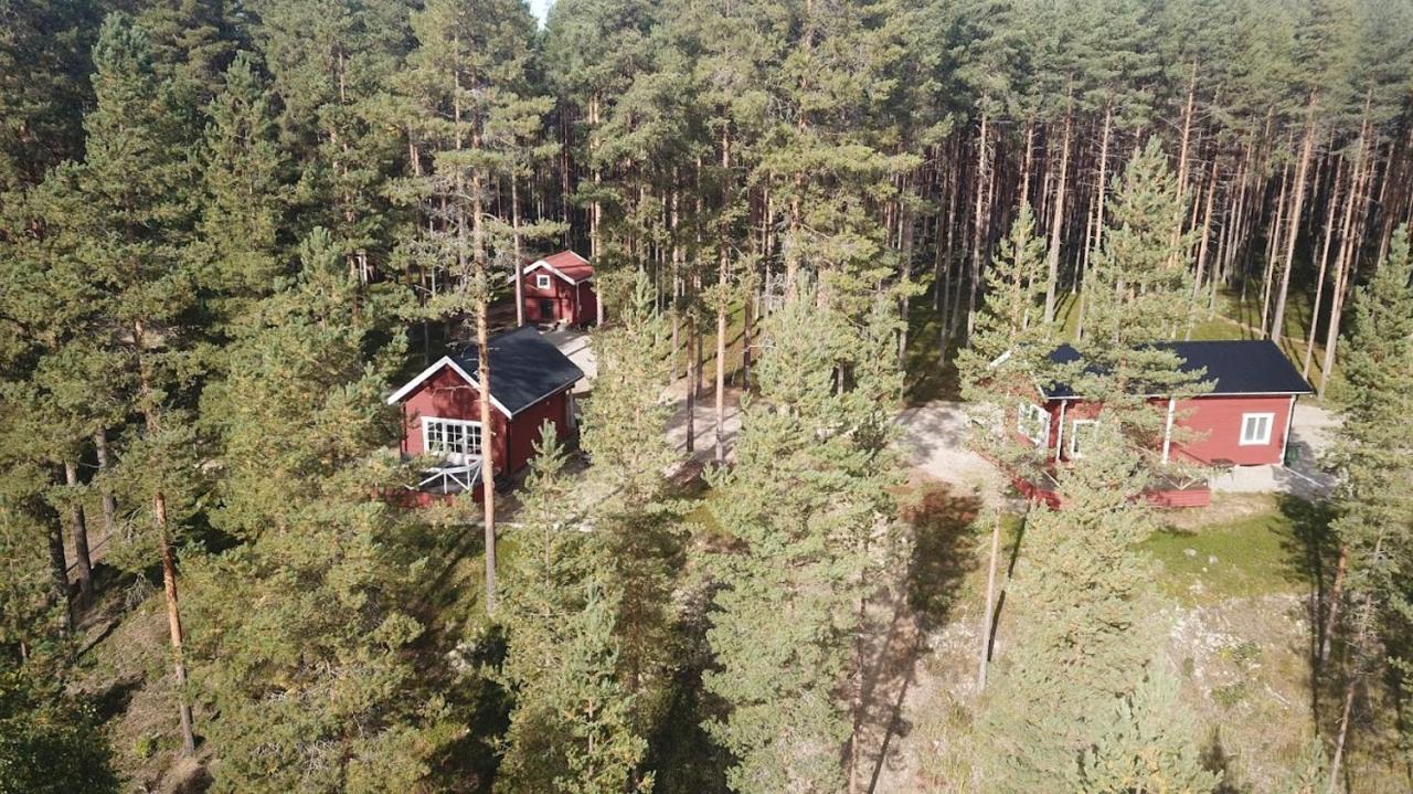 Zorbcenter Holiday Homes Hammarstrand Dış mekan fotoğraf